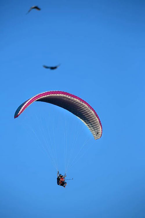 阿里山及滑翔伞项目 – Ali Dağı – Yamaç Paraşütü