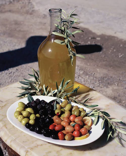 恰纳卡莱的橄榄栽培 – Çanakkale Zeytinciliği