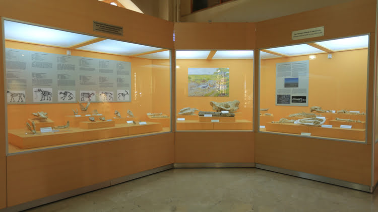 考古博物馆 – Sivas Arkeoloji Müzesi