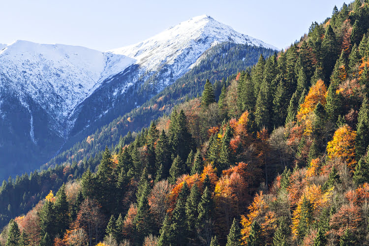 卡奇卡尔高原和卡奇卡尔山脉旅游中心 – Kaçkar Yaylası ve Kaçkar Dağları Turizm Merkezi