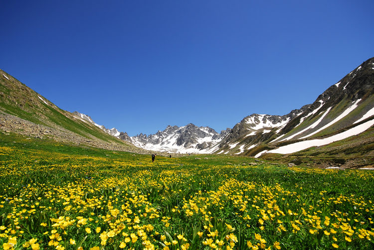卡奇卡尔高原和卡奇卡尔山脉旅游中心 – Kaçkar Yaylası ve Kaçkar Dağları Turizm Merkezi