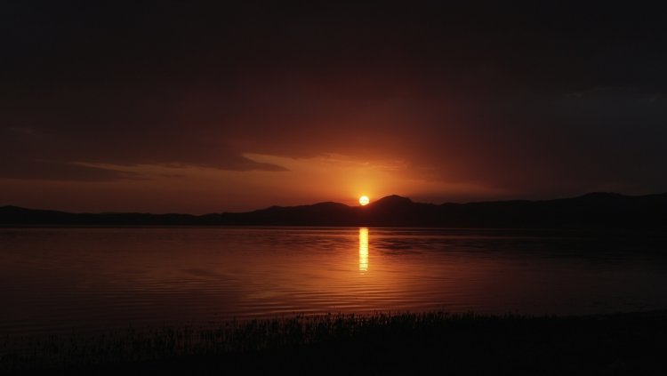 埃尔切克湖鸟类保护区 - Erçek Gölü Kuş Cenneti