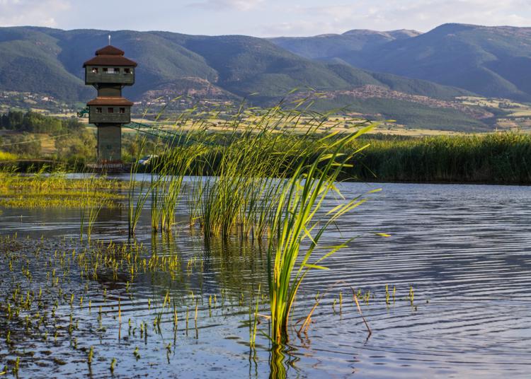 鹅湖野生动物发展区 – Kaz Gölü Yaban Hayatı Geliştirme Sahası