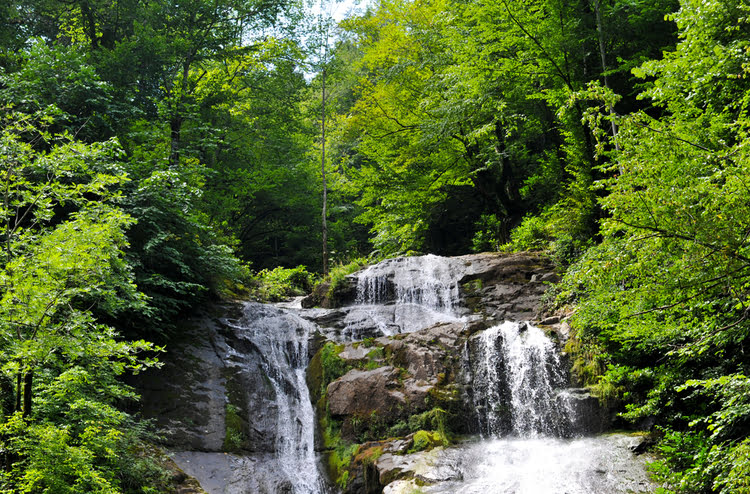 古泽尔代雷瀑布和自然公园 - Güzeldere Şelalesi ve Tabiat Parkı