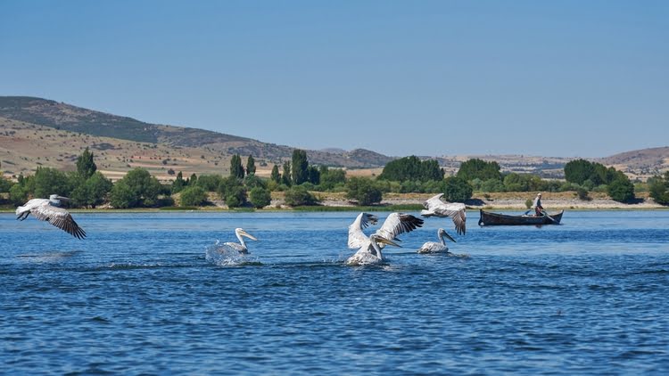 奇夫里尔伊谢克湖水禽保护区 - Çivril Işıklı Göl Su Kuşları Koruma Alanı