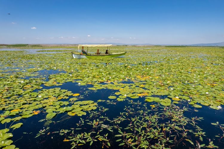 奇夫里尔伊谢克湖水禽保护区 - Çivril Işıklı Göl Su Kuşları Koruma Alanı