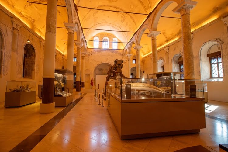 布尔杜尔自然历史博物馆 – Burdur Doğa Tarihi Müzesi