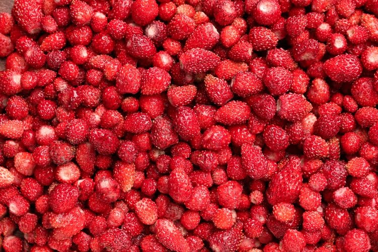 野草莓 - Dağ Çileği